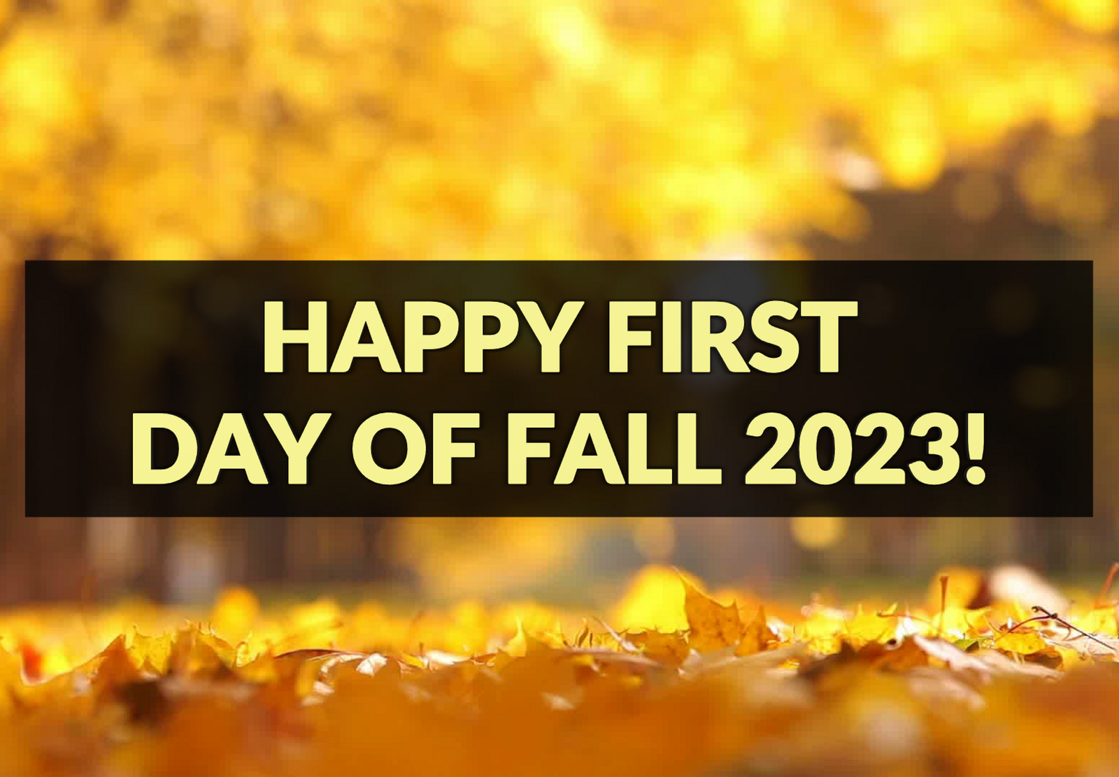 First Day of Fall 2023